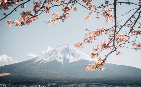 お正月イメージ87