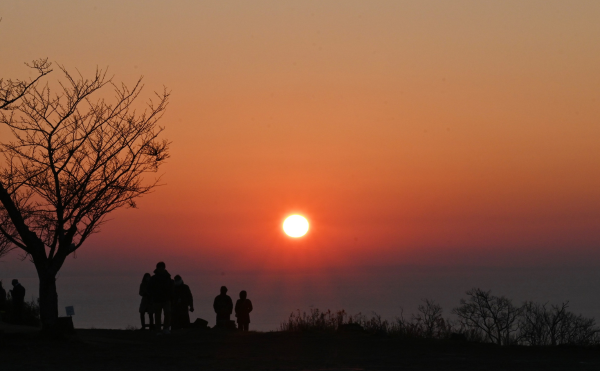 お正月イメージ88